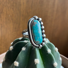 Load image into Gallery viewer, "Shoreline"