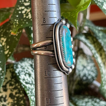 Load image into Gallery viewer, "Shoreline"