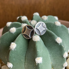 Load image into Gallery viewer, "Shining Star" Studs