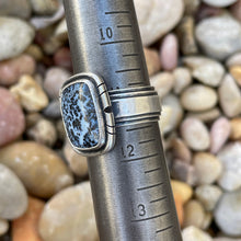 Load image into Gallery viewer, "Timeline"