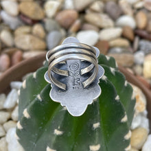 Load image into Gallery viewer, "Trailblazer"