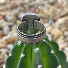 Load image into Gallery viewer, "Timeline"