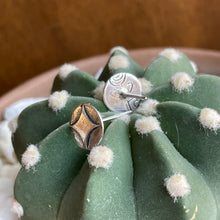 Load image into Gallery viewer, "Shining Star" Studs