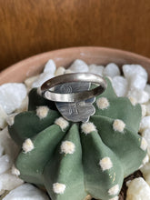 Load image into Gallery viewer, "Southern Belle"