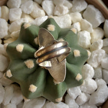 Load image into Gallery viewer, "Cut Them Down"