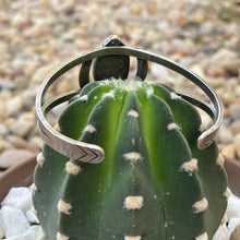 Load image into Gallery viewer, "Tigress"