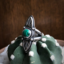 Load image into Gallery viewer, "Cut Them Down"