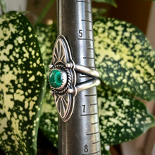 Load image into Gallery viewer, "Cut Them Down"