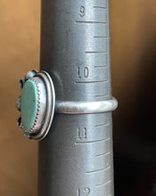 Load image into Gallery viewer, "Southern Belle"