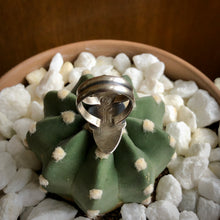 Load image into Gallery viewer, "Cut Them Down"