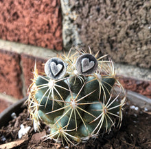 Load image into Gallery viewer, "Sweet Heart Studs"