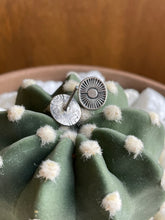 Load image into Gallery viewer, "Sunny Studs"