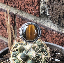 Load image into Gallery viewer, "Golden God"