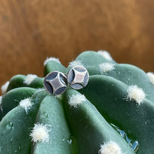 Load image into Gallery viewer, Tiny Shining Star Studs