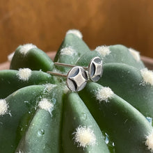 Load image into Gallery viewer, Tiny Shining Star Studs