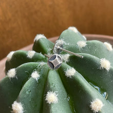 Load image into Gallery viewer, Tiny Shining Star Studs