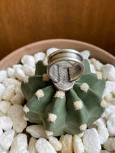 Load image into Gallery viewer, "Tough Cookie"