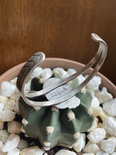 Load image into Gallery viewer, "Southwest Stinger"