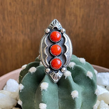 Load image into Gallery viewer, "Spice Of Life" Ring