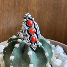 Load image into Gallery viewer, "Spice Of Life" Ring