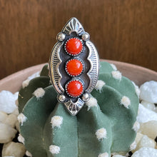 Load image into Gallery viewer, "Spice Of Life" Ring