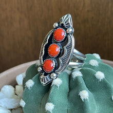 Load image into Gallery viewer, "Spice Of Life" Ring