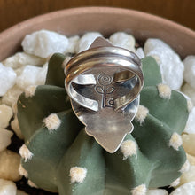 Load image into Gallery viewer, "Spice Of Life" Ring