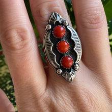 Load image into Gallery viewer, "Spice Of Life" Ring