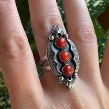 Load image into Gallery viewer, "Spice Of Life" Ring