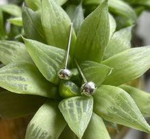 Load image into Gallery viewer, Sterling Ball Studs