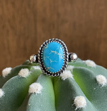 Load image into Gallery viewer, "Lasso The Sky"