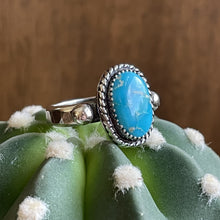 Load image into Gallery viewer, "Lasso The Sky"