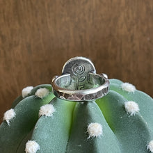 Load image into Gallery viewer, "Lasso The Sky"