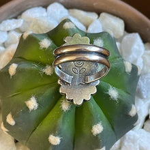 Load image into Gallery viewer, "Tiny Bubbles"