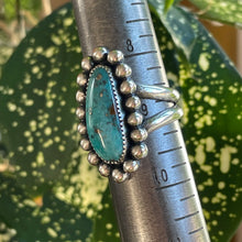 Load image into Gallery viewer, "Tiny Bubbles"