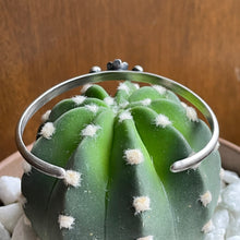 Load image into Gallery viewer, "Dainty Daisy"