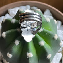 Load image into Gallery viewer, "Serendipity"