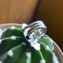 Load image into Gallery viewer, "Serendipity"