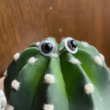 Load image into Gallery viewer, Round Onyx Studs