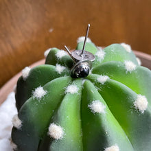 Load image into Gallery viewer, Round Onyx Studs