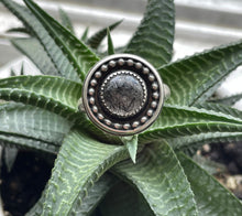 Load image into Gallery viewer, "Get Your Bearings"