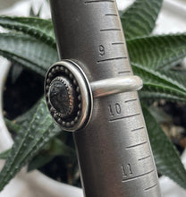 Load image into Gallery viewer, "Get Your Bearings"