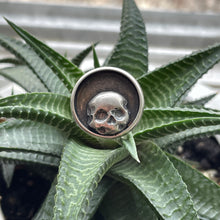 Load image into Gallery viewer, "Peek-a-Boo"