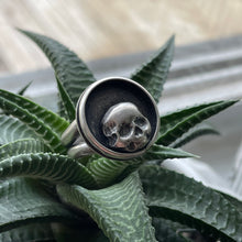 Load image into Gallery viewer, "Peek-a-Boo"