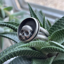 Load image into Gallery viewer, "Peek-a-Boo"