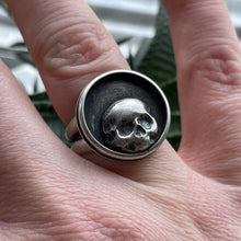 Load image into Gallery viewer, "Peek-a-Boo"