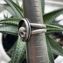 Load image into Gallery viewer, "Peek-a-Boo"