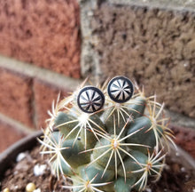 Load image into Gallery viewer, Pinwheel Studs