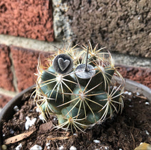 Load image into Gallery viewer, "Sweet Heart Studs"