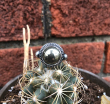 Load image into Gallery viewer, "Golden Eye"